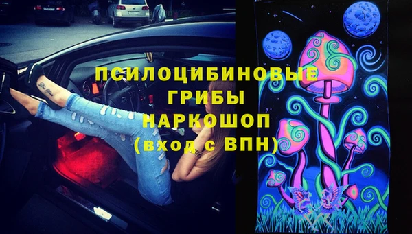 стафф Алексин