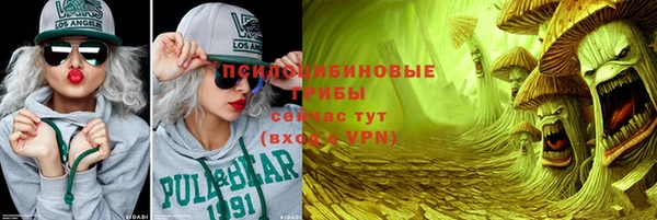 стафф Алексин