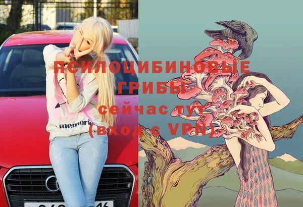 герыч Алзамай