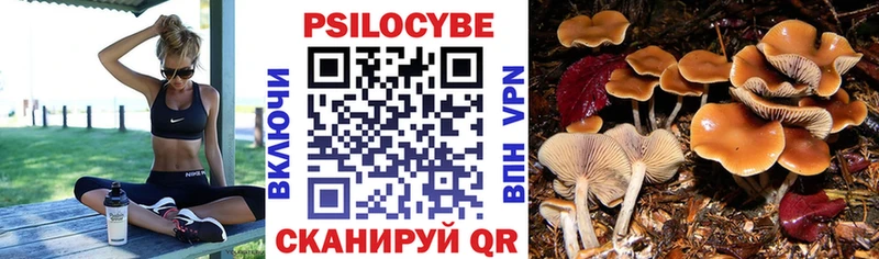 мега вход  Выкса  Галлюциногенные грибы Cubensis 