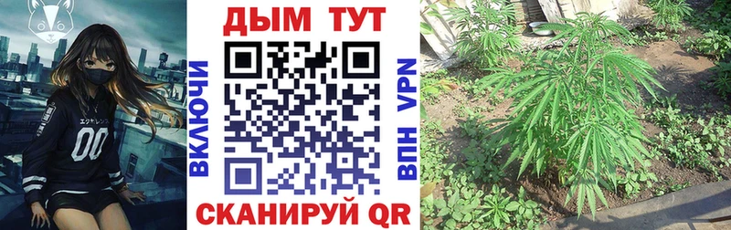 Канабис Bruce Banner  Выкса 
